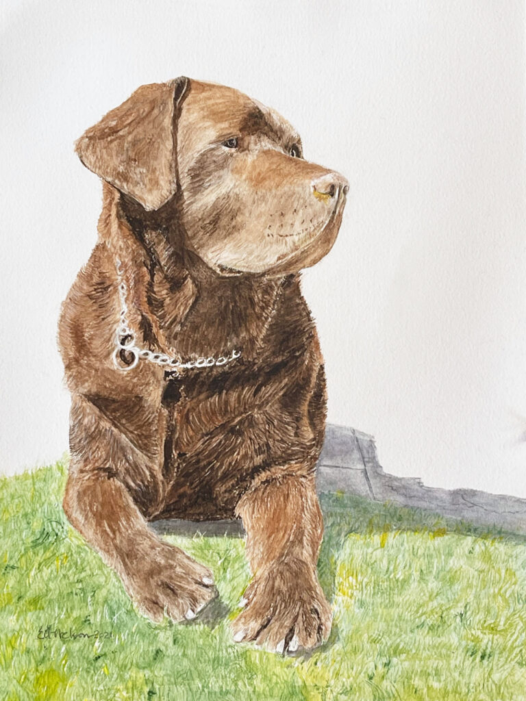Harry the Dog, water color